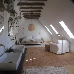 Esprit Nature Rêve D'étoiles Graissac