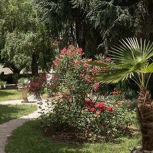 Midi Mazamet